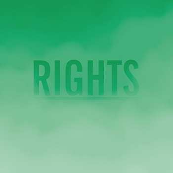 Album Schnellertollermeier: Rights