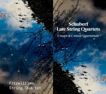 CD Franz Schubert: Late String Quartets: G Major & C Minor "Quartettsatz" 436127