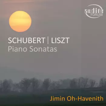 Franz Schubert: Piano Sonatas