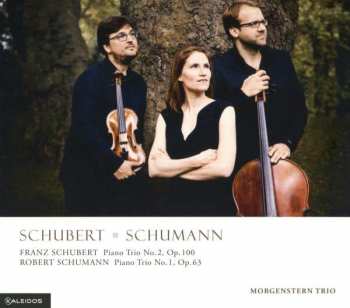 CD Franz Schubert: Schubert - Schumann 378409