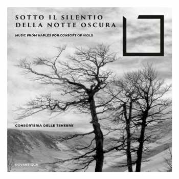 Album Scipione Stella: Sotto Il Silento Della Notte Oscura