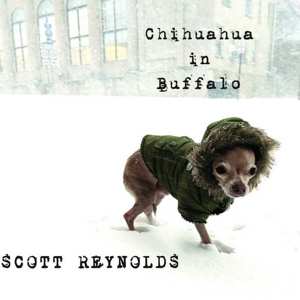 Album Scott Reynolds: Chihuahua In Buffalo