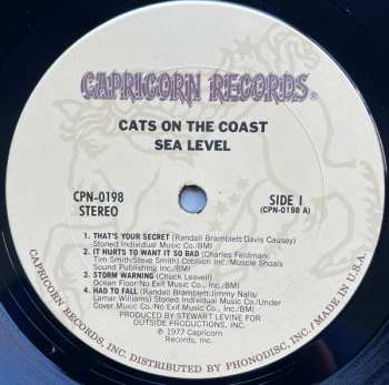 LP Sea Level: Cats On The Coast 317437