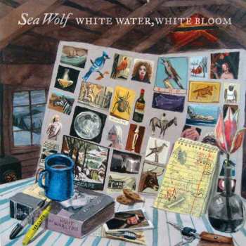 Album Sea Wolf: White Water, White Bloom