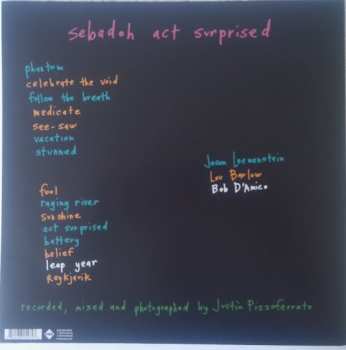 LP Sebadoh: Act Surprised CLR 70301
