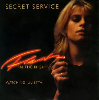 Secret Service: Flash In The Night
