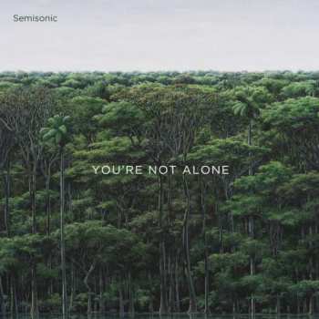 Album Semisonic: You're Not Alone 