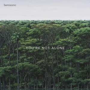 CD Semisonic: You're Not Alone  95177