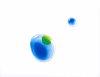 CD S.E.N.S.: 透明な音楽