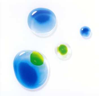 CD S.E.N.S.: 透明な音楽