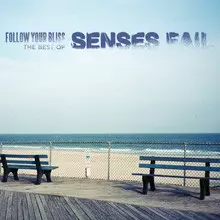 Follow Your Bliss: The Best Of Senses Fail