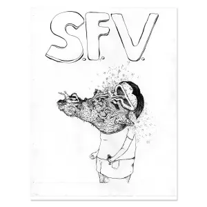 SFV acid: No.2