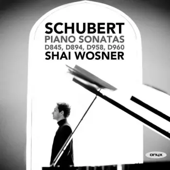 Schubert Piano Sonatas D845, D894, D958, D960