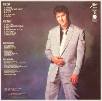 LP Shakin' Stevens: Give Me Your Heart Tonight 355840
