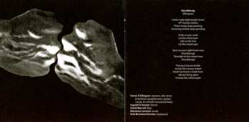 CD Shamblemaths: Shamblemaths 2 LTD | DIGI