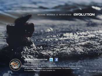 CD Shane Morris: Evolution 297179
