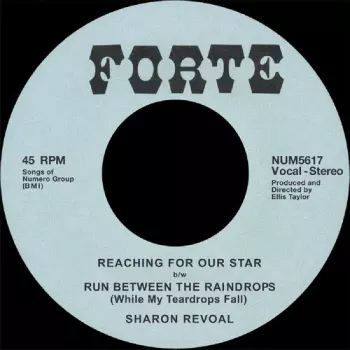 Reaching For Our Star B