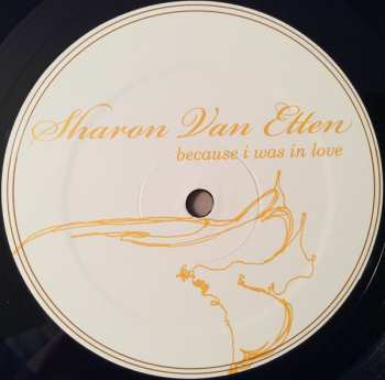 LP Sharon Van Etten: Because I Was In Love 67187