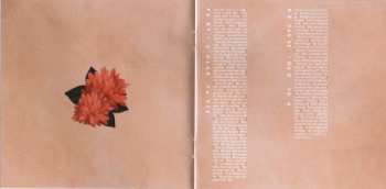 CD Shawn Mendes: Shawn Mendes DLX