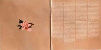 CD Shawn Mendes: Shawn Mendes DLX