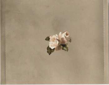 CD Shawn Mendes: Shawn Mendes DLX