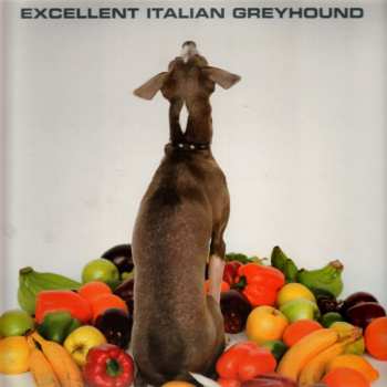 LP Shellac: Excellent Italian Greyhound 392031