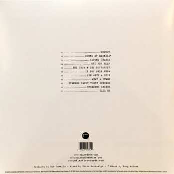 LP Shinedown: The Sound Of Madness LTD | CLR 33812