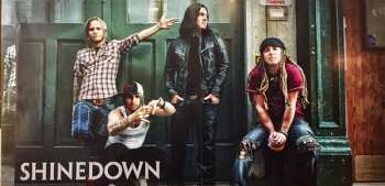 LP Shinedown: The Sound Of Madness LTD | CLR 33812