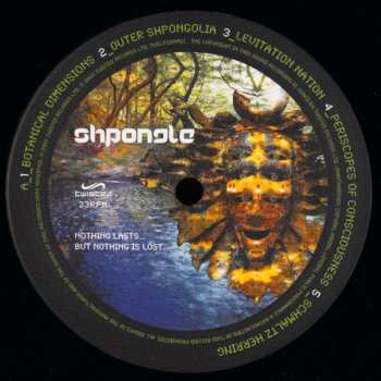 2LP Shpongle: Nothing Lasts... But Nothing Is Lost 388955