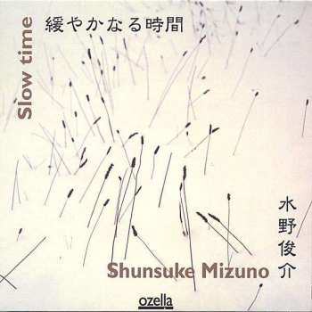 Shunsuke Mizuno: Slow Time