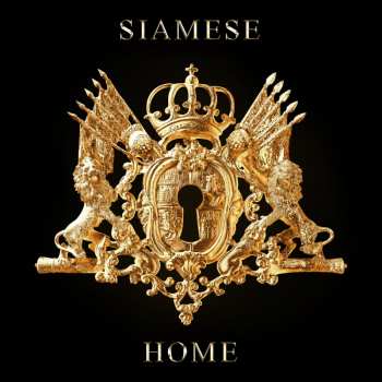 Album Siamese Fighting Fish: Home