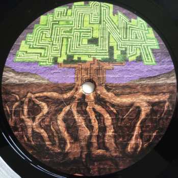 LP Siena Root: The Secret Of Our Time LTD 262849