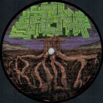LP Siena Root: The Secret Of Our Time 60311