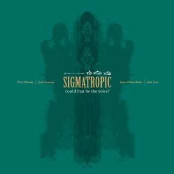 Sigmatropic: Could That Be The Voice
