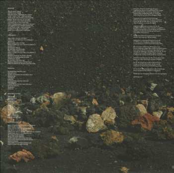LP Goldfrapp: Silver Eye LTD | CLR 32613