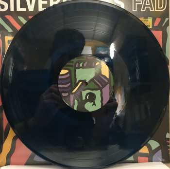 LP Silverbacks: FAD CLR 89012