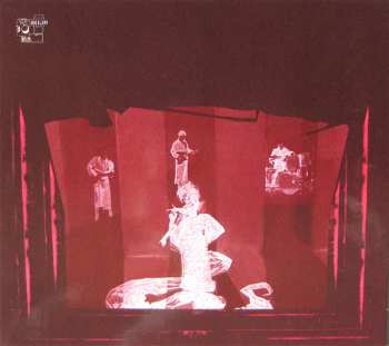 CD Siouxsie & The Banshees: Tinderbox 36689