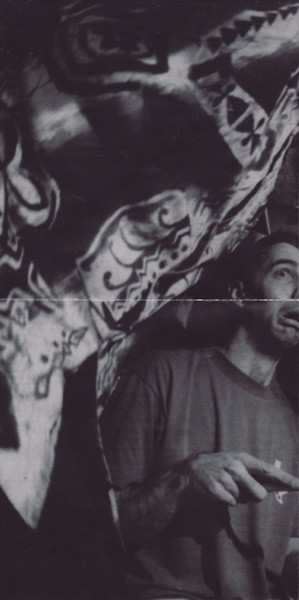 CD Skankin' Pickle: The Green Album