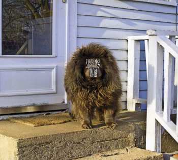 Album Sleeping Bag: Sleeping Bag