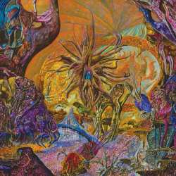 LP Slimelord: Chytridiomycosis Relinquished CLR | LTD