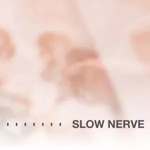 Slow Nerve: Slow Nerve