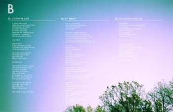 LP Small Brown Bike: Fell & Found CLR