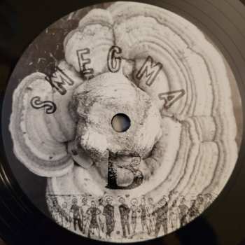 LP Smegma: Infringements LTD