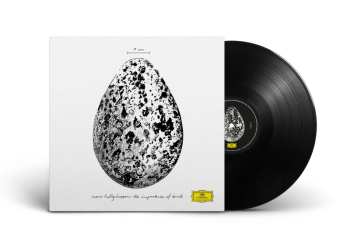 Album Snorri Hallgrímsson: The Importance Of Birds