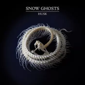 Snow Ghosts: Husk
