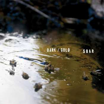 Album Soar: Dark / Gold