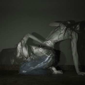 Album Sofia Isella: Something Is A Shell