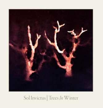 Sol Invictus: Trees In Winter