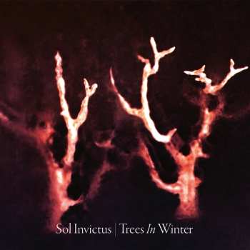CD Sol Invictus: Trees In Winter DIGI 242481