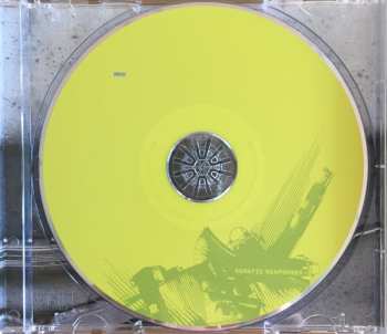 CD Somatic Responses: Neon